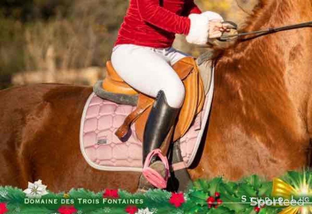 Equitation - Tapis de selle Félix bülher  - photo 1