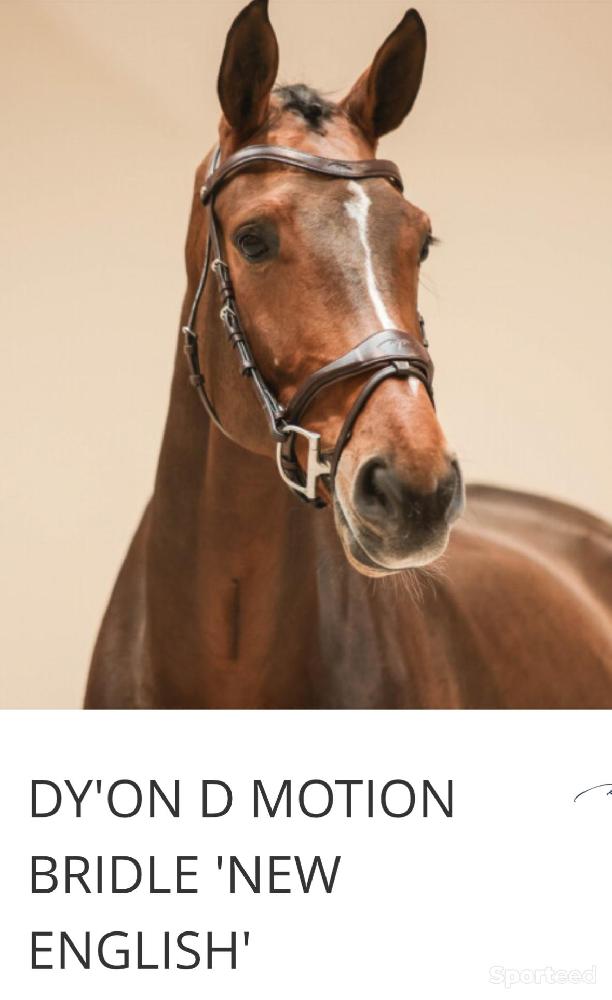 Equitation - Bridon Dyon D motion - photo 5