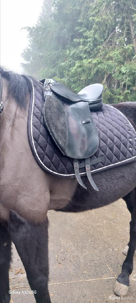 Equitation - Selle equitation  - photo 4