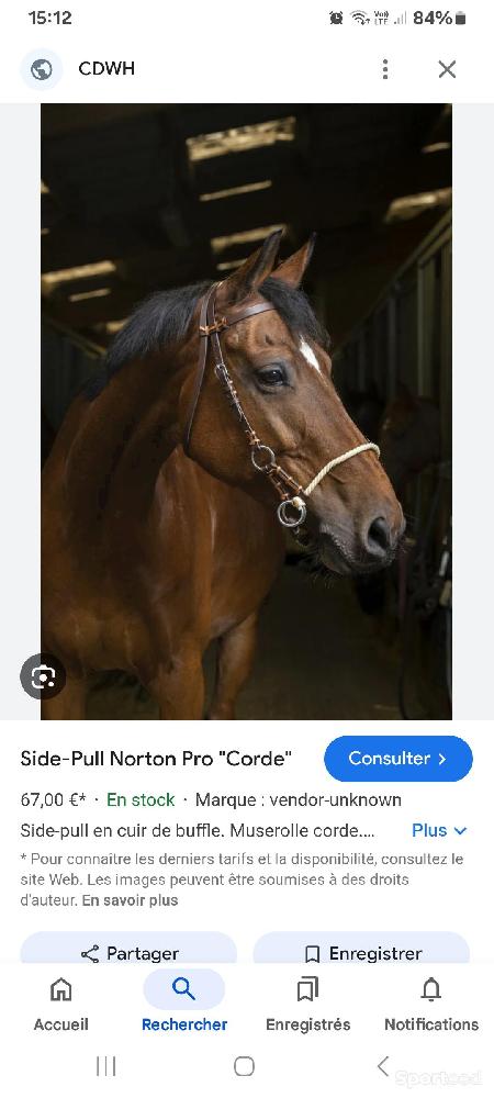 Equitation - Side pull cuir corde norton - photo 3