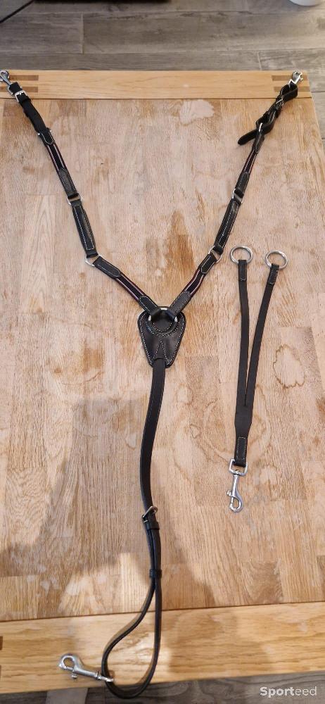 Equitation - Collier de chasse + martingale  - photo 1