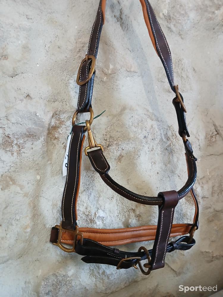 Equitation - Licol cuir marron foncé sur marron camel neuf - photo 2
