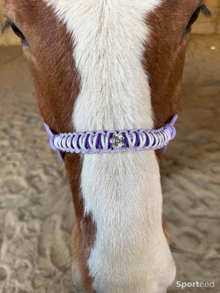 Equitation - Licol en corde  - photo 1