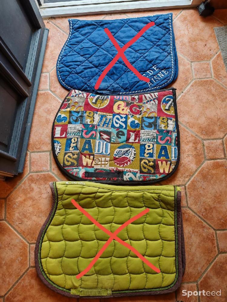 Equitation - Différents tapis 😉👍 - photo 3