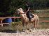 Photo Nol86