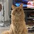 Photo Valou0807