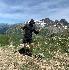 Photo lerho38