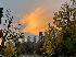 Photo Rosaub5