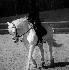 Photo louuu0704