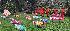 Photo Hu56