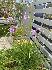 Photo Nibos35