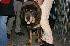 Photo Joseph0001