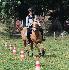 Photo Marine_Rodeo83