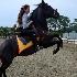 Photo Sellerie Equip’Equestre