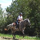 photo VERDEL58