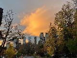 photo Rosaub5
