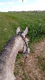 photo Mariloupiotte