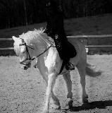 photo louuu0704