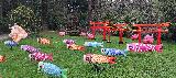 photo Hu56