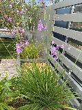 photo Nibos35