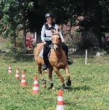 photo Marine_Rodeo83