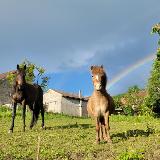 photo laure.b