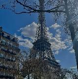 photo Laura4475