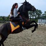 photo Sellerie Equip’Equestre