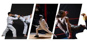 Sports de combat