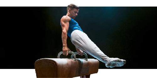 Gymnastique