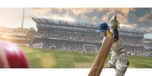 Cricket