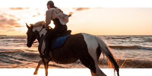 Equitation