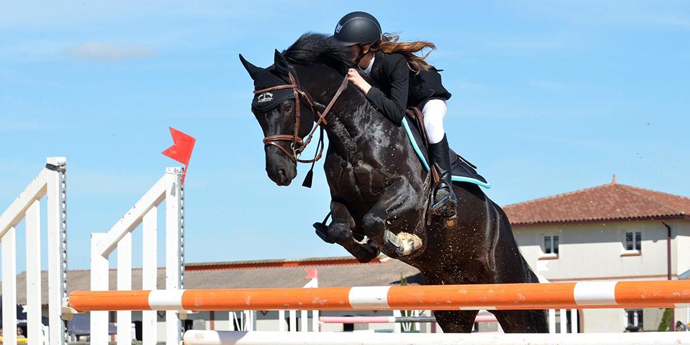 Bombe GPA d'occasion : Equipements  Equitation - 25/02/2023 - Sporteed