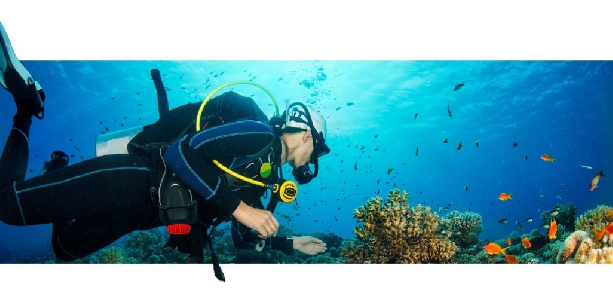 Plongée sous marine